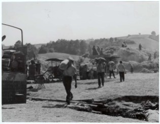 Logor Jasenovac, žetva na logorskoj ekonomiji