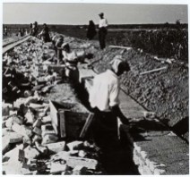 Logor Jasenovac, gradnja logorskog zida-ograde