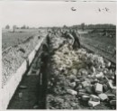 Logor Jasenovac, gradnja zida